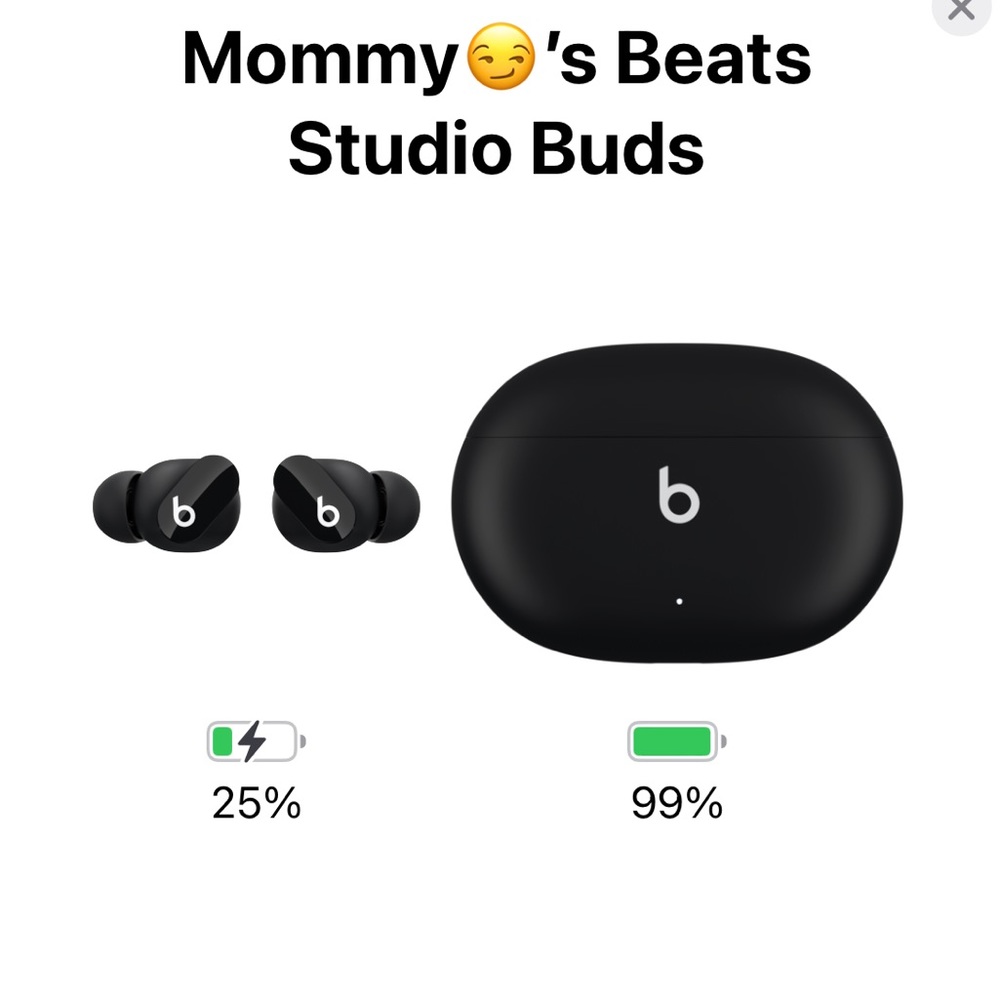 beats studio buds